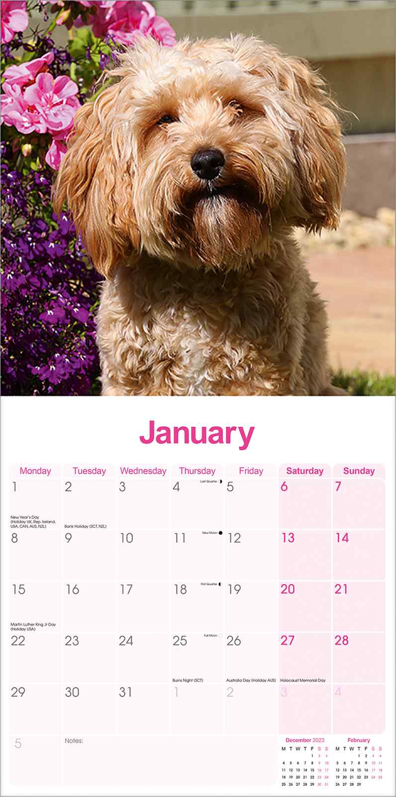Cavapoo Calendar Dog Breed Calendars Pet Prints Inc