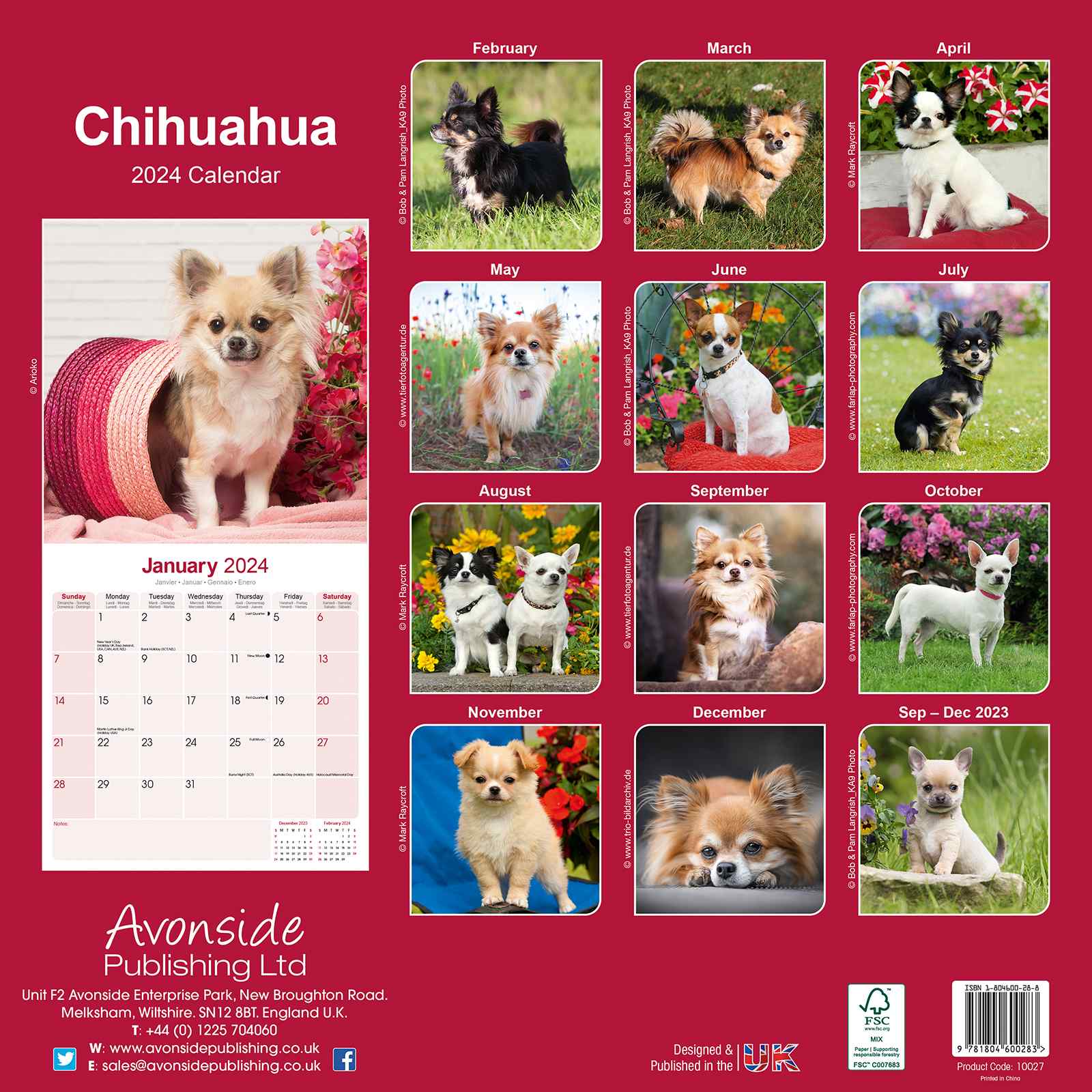 Chihuahua Calendar | Dog Breed Calendars | Pet Prints Inc