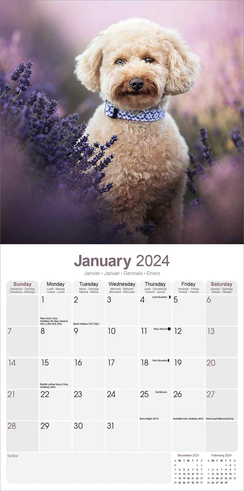 Poodle (Toy & Miniature) Calendar | Dog Breed Calendars | Pet Prints Inc